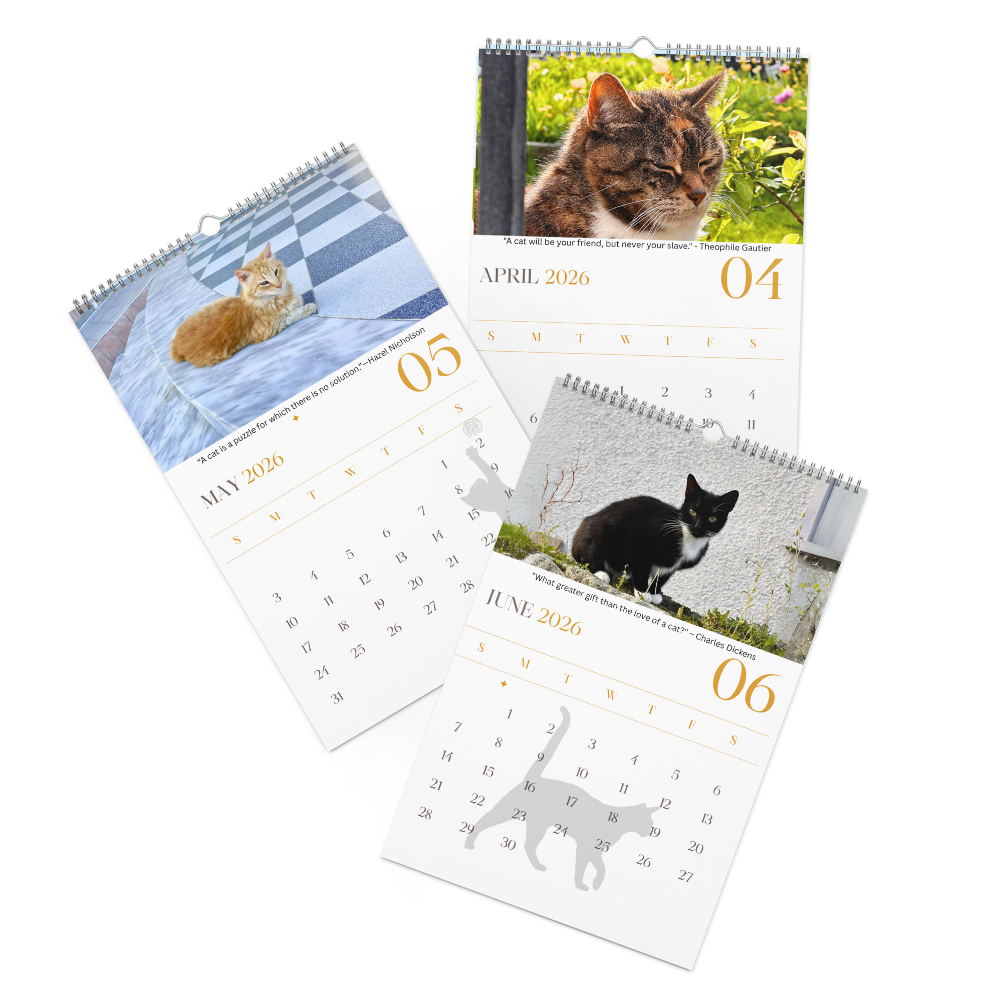 Cat Calendar 2026 - Image 14