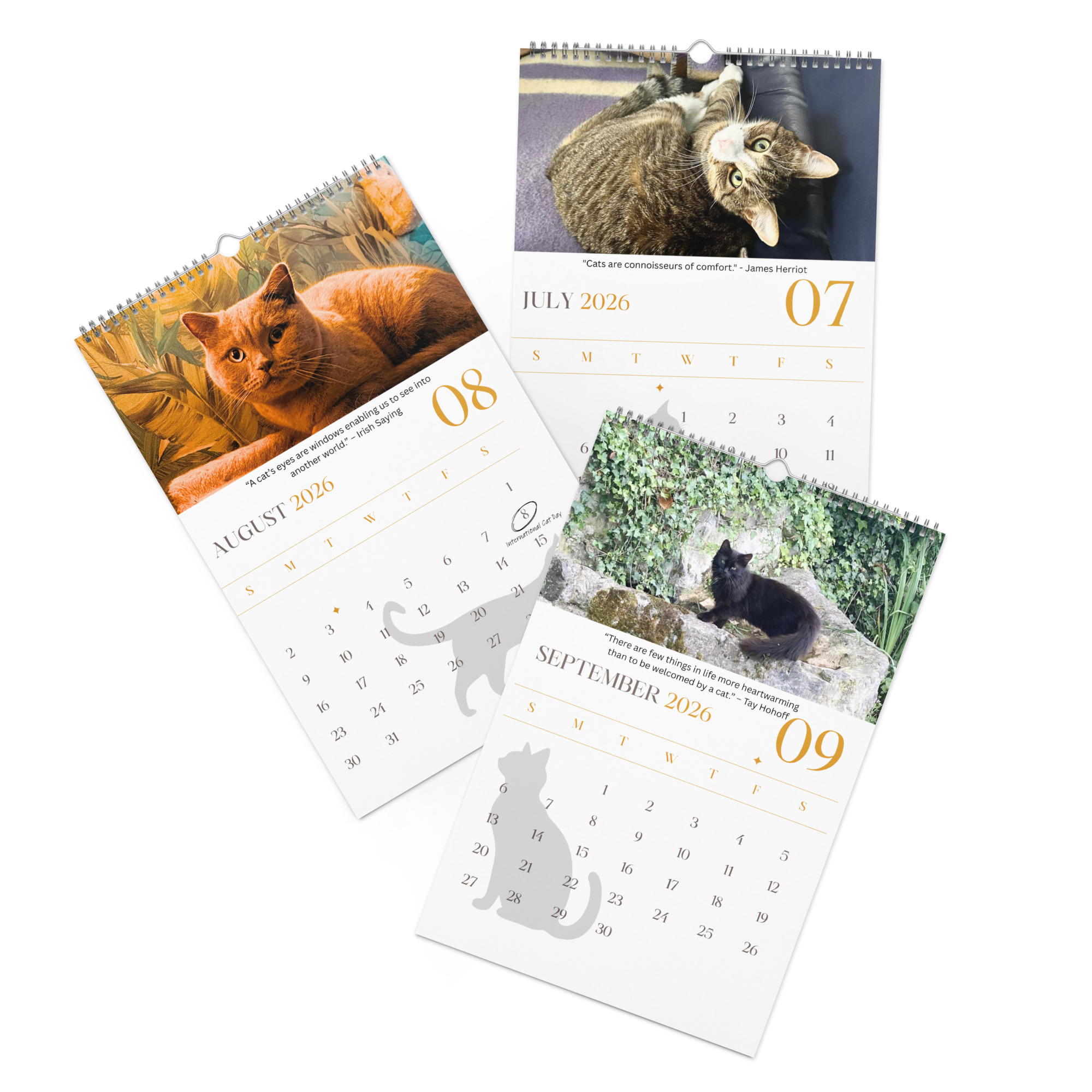 Cat Calendar 2026 - Image 15