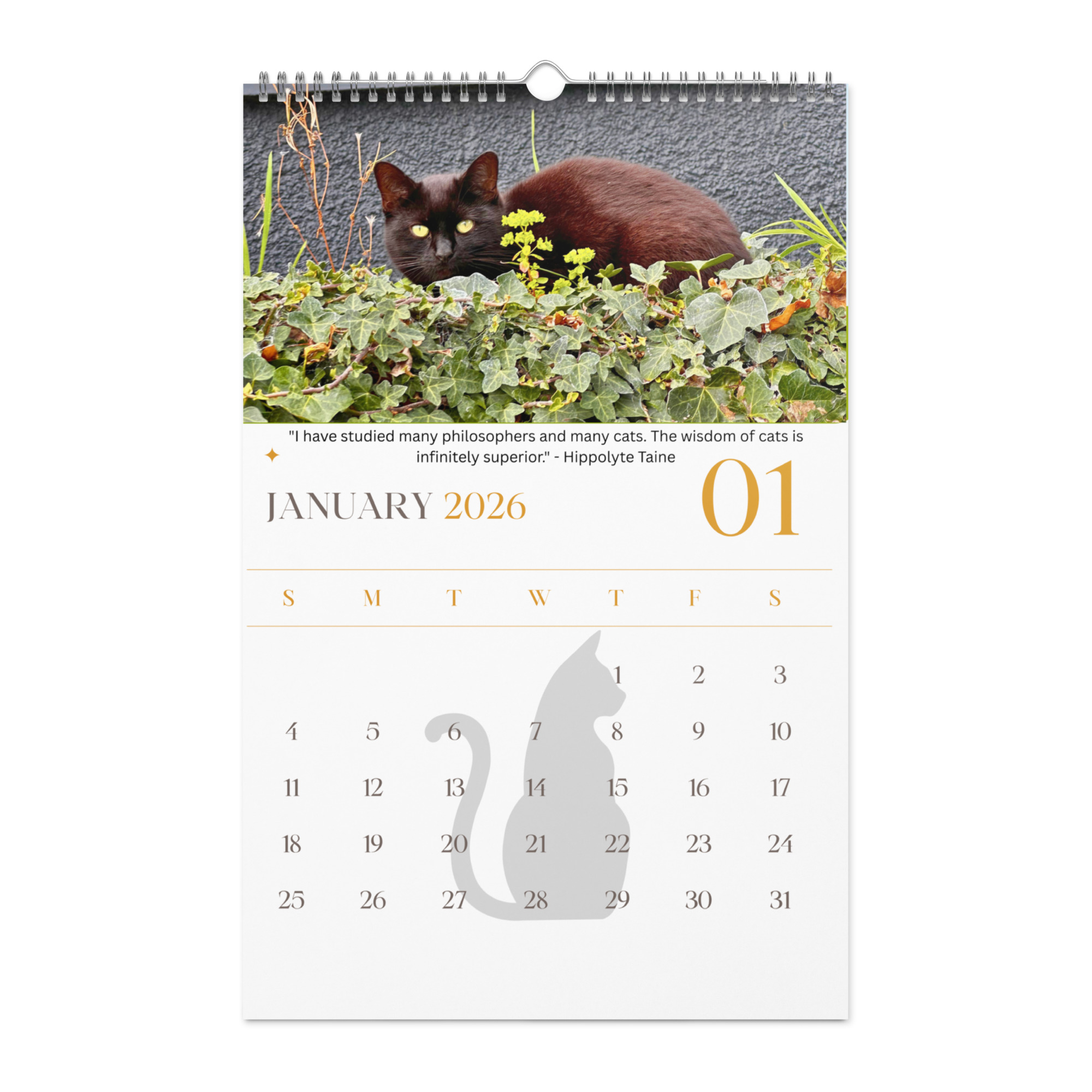 Cat Calendar 2026 - Image 2