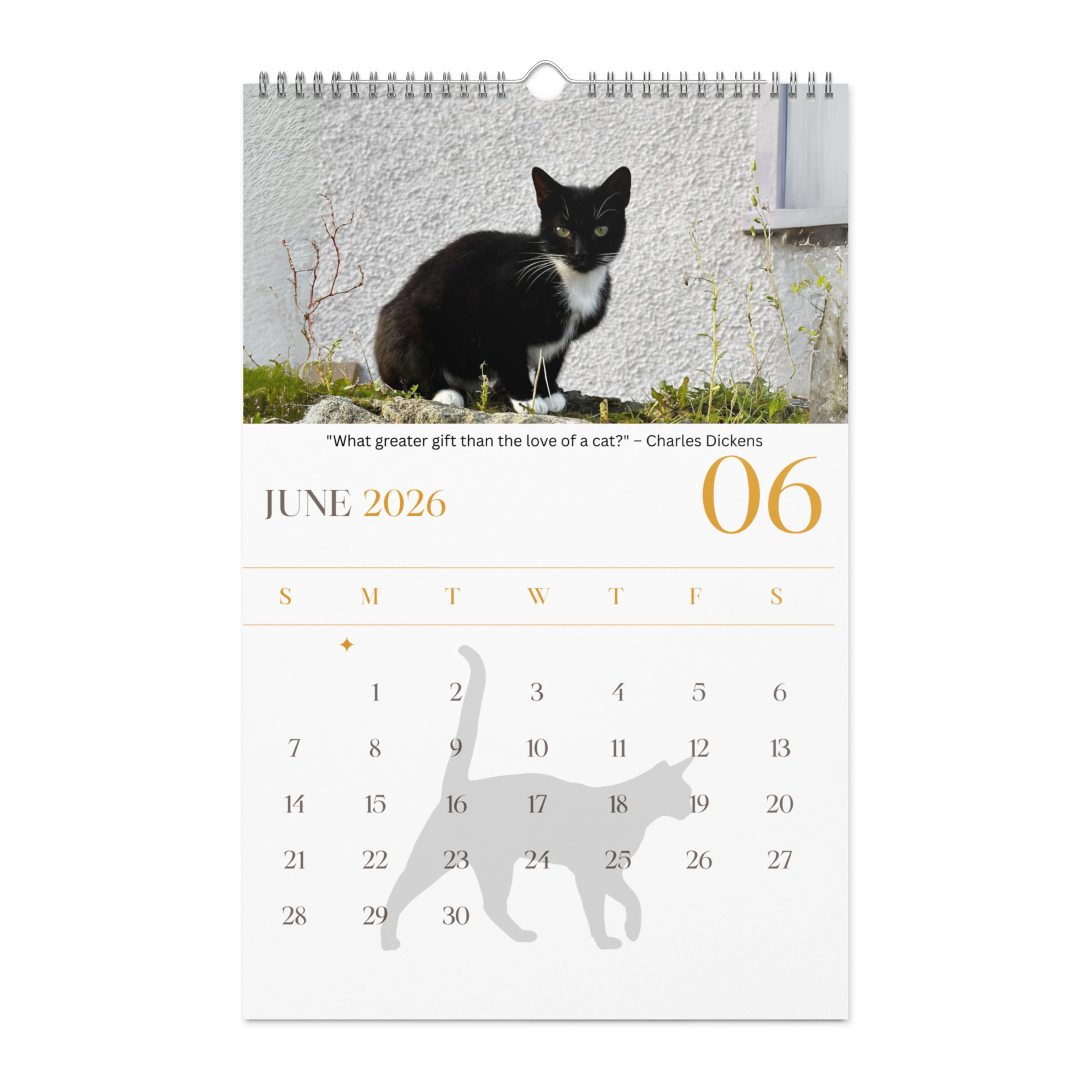 Cat Calendar 2026 - Image 7