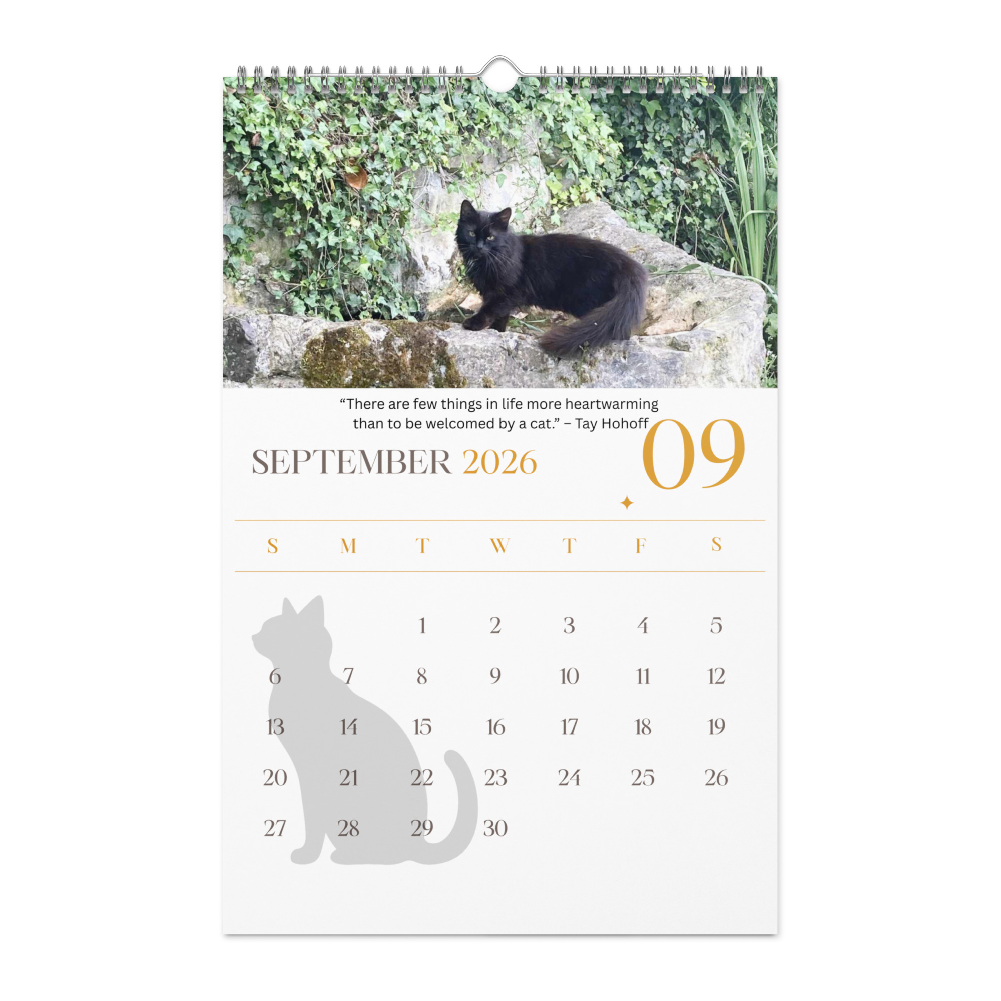 Cat Calendar 2026 - Image 10