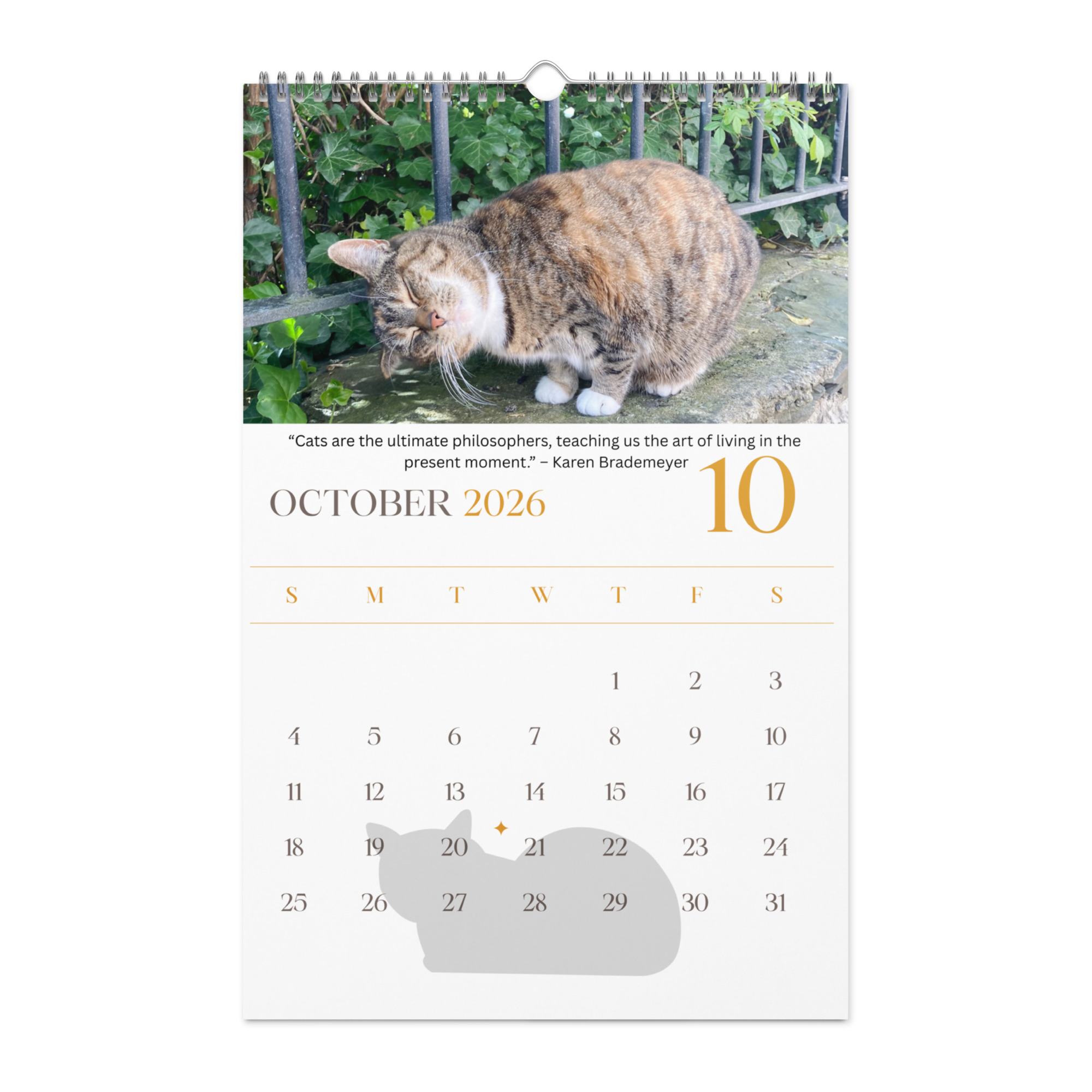 Cat Calendar 2026 - Image 11